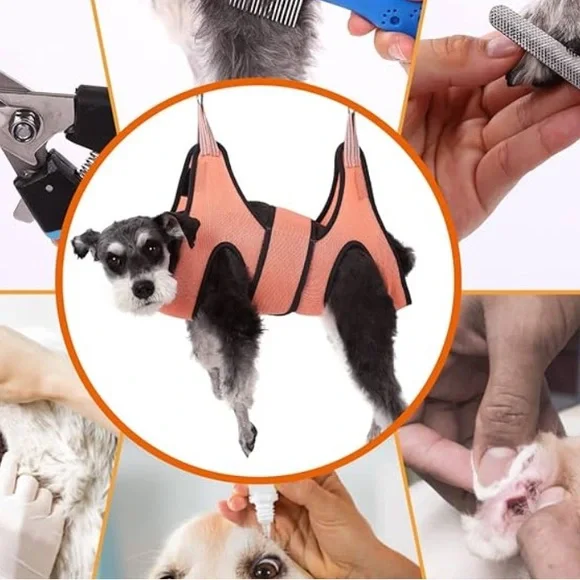 Adjustable Orange Dog Harness - Picture 5 of 5